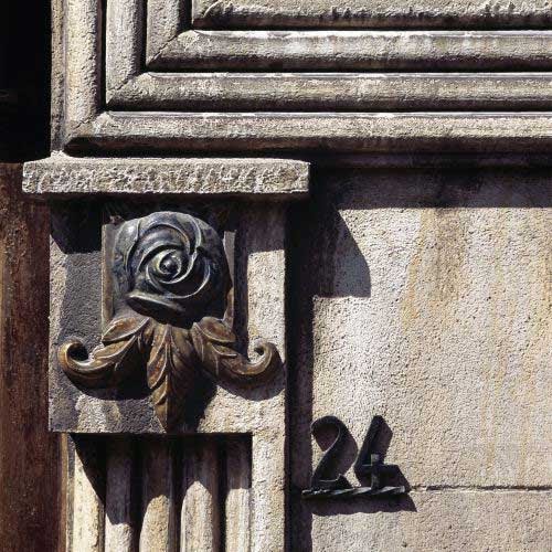 Détail rose rue des Glatiniers
